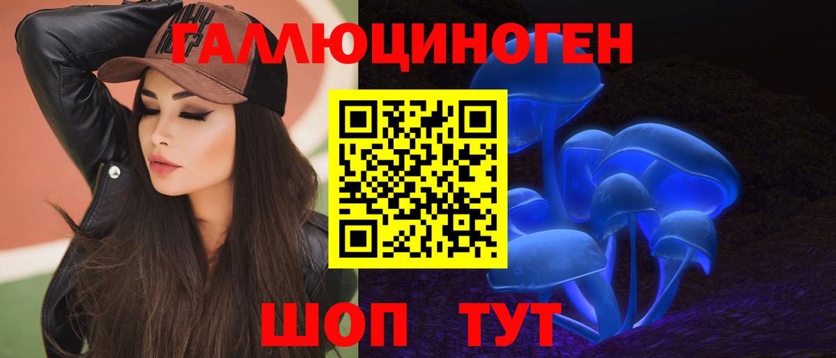 Балашов  где купить   Вход с VPN  Галлюциногенные грибы Psilocybine cubensis  Галлюциногенные грибы Psilocybe 